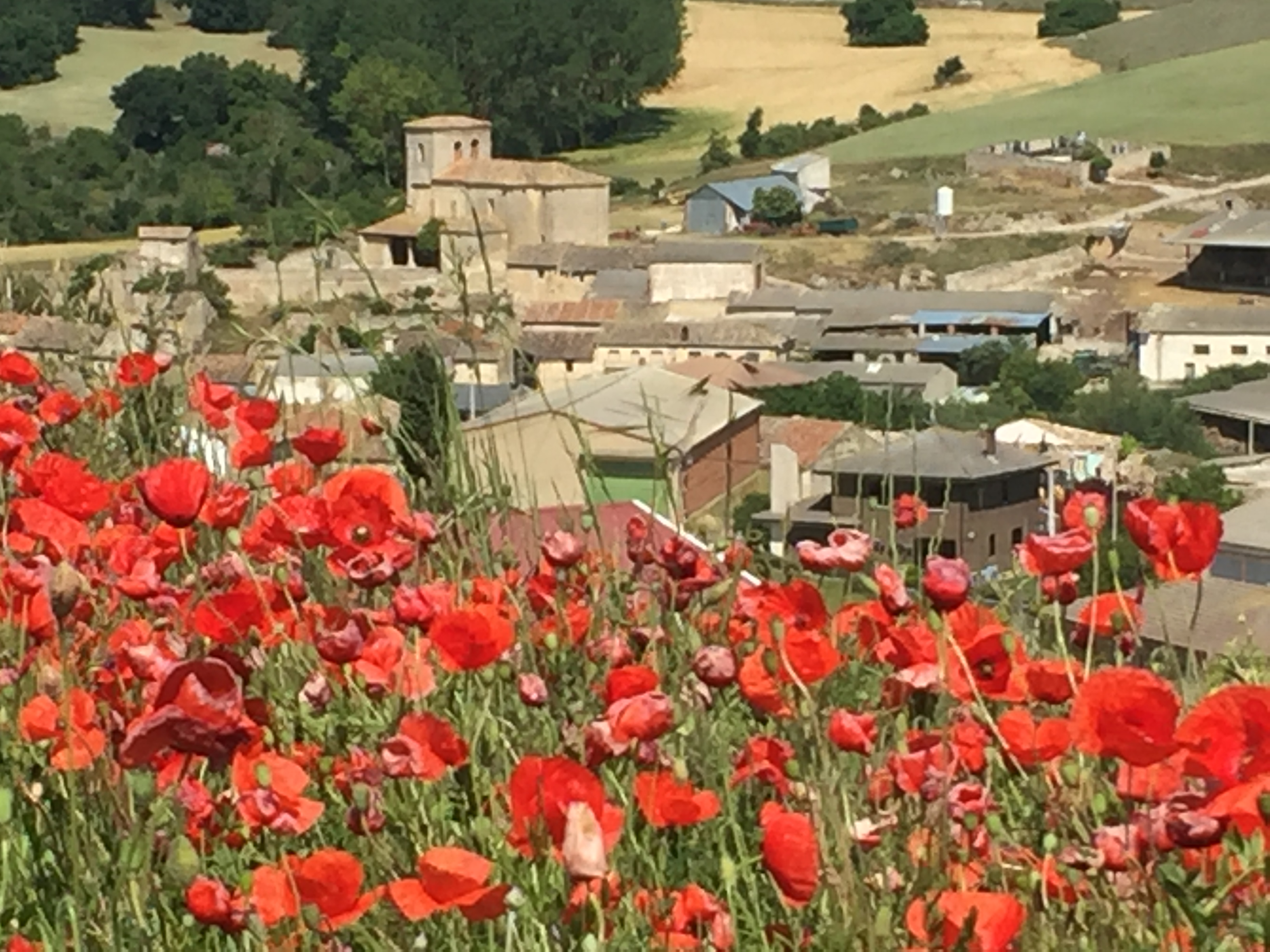 Entorno del albergue y Castellanos de Castro de Fondo