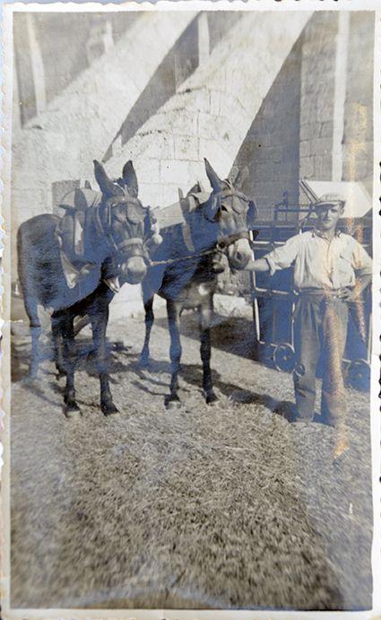 Fotografía de la galería de imágenes con id: 935