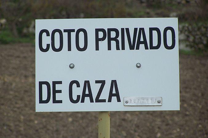 Fotografía de la galería de imágenes con id: 985